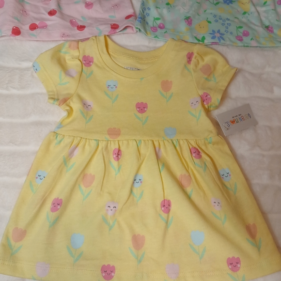 Baby Girl Dresses (Set of 3) | 3-6 Months | Garanimals | NWT - Picture 9 of 9
